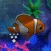 GoFishing（FishCatch）