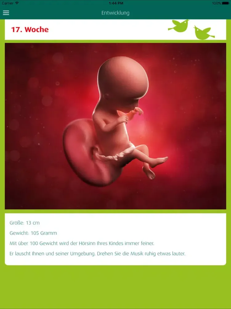 Zrzuty ekranu Unser Baby iPad 
