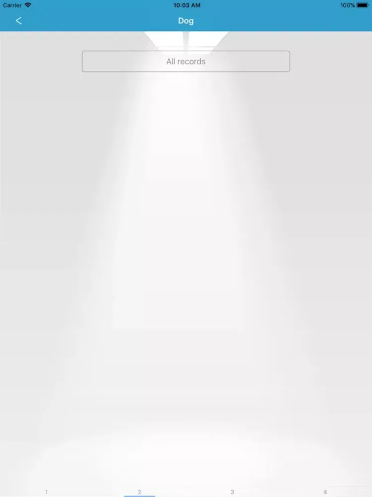 صور GoodSafe iPad 