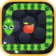 Snake Slither Puzzle
