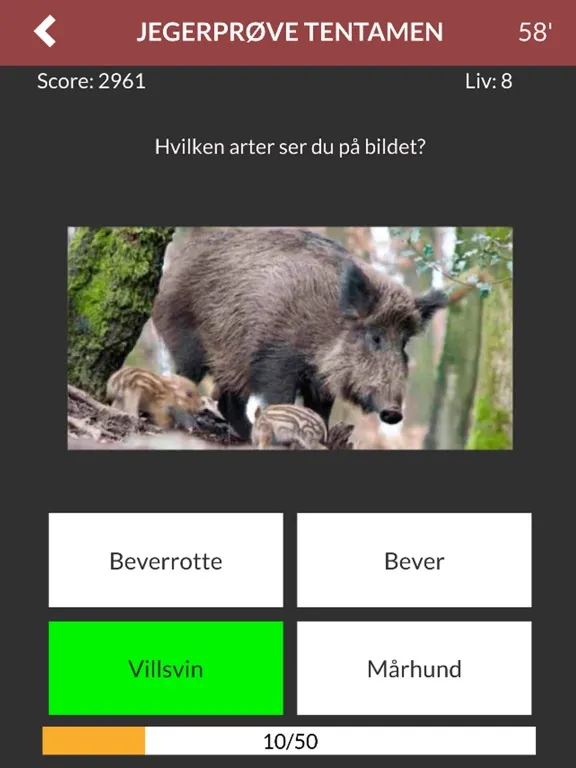 Jegerprøvetentamen (Norge) iPad  Screenshots