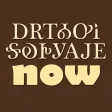 Learn Cherokee Syllabary Now
