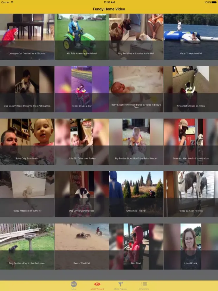 ภาพหน้าจอของ Comedy Video - Best Funny Video iPad 