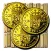Puzzle Coins