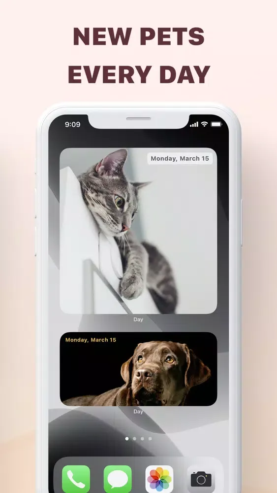 Zrzuty ekranu Daily Motivation & Inspiration