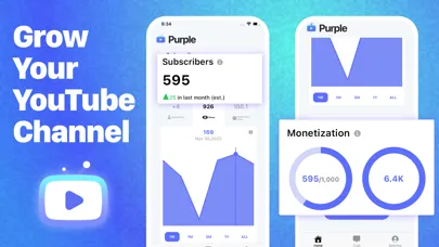 Tangkapan skrin Subscribers for YouTube App