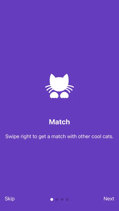 Kitty Nip - Cat Dating App Screenshots