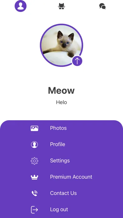 Kitty Nip - Cat Dating App Screenshots