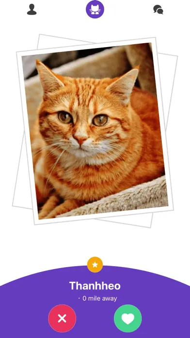 Kitty Nip - Cat Dating App Screenshots
