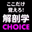 解剖学CHOICE