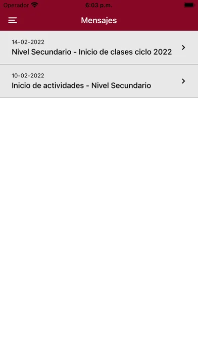 Screenshot di Com Digital Borromeo