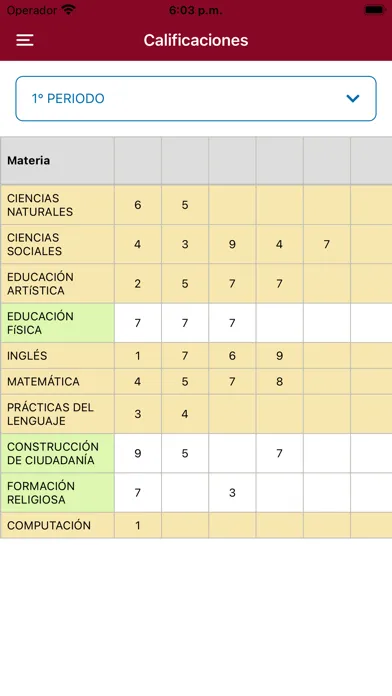 Screenshot di Com Digital Borromeo