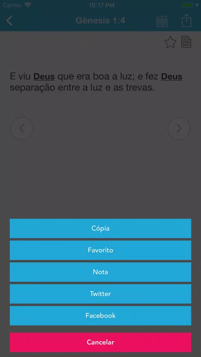 Скриншоты Concordância