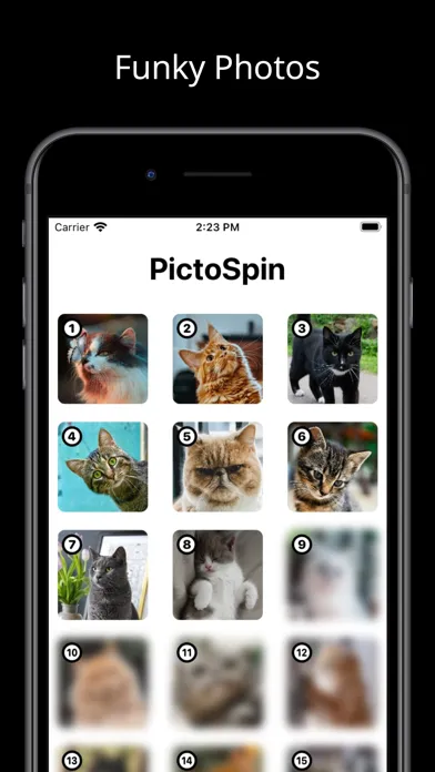 PictoSpin スクリーンショット