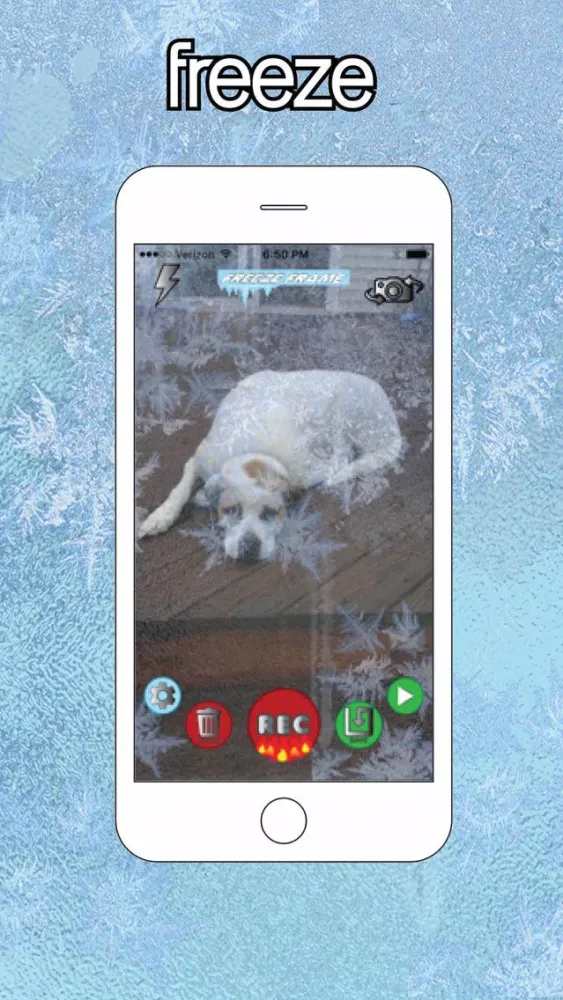 Captures d'écran de Freez Frame