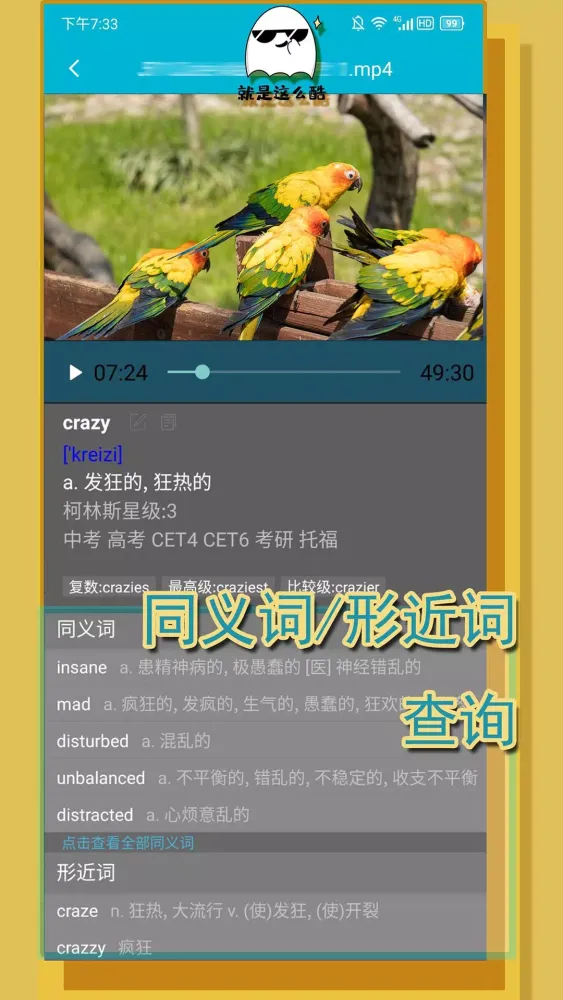 Скриншоты 单词播放器