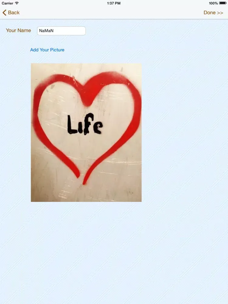 Скриншоты My Love Life Survey iPad 