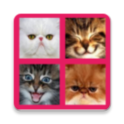 2048 Cute Cats 2048 Cute Cats