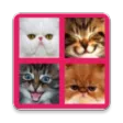 2048 Cute Cats