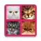 2048 Cute Cats