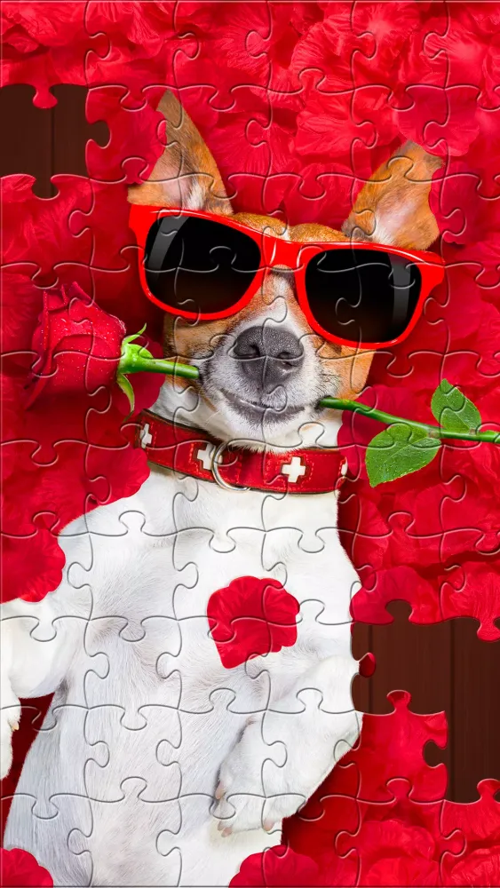 Jigsaw Screenshots