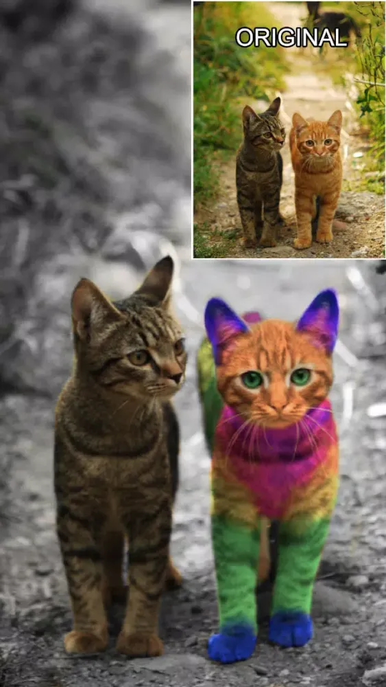 Color Effects Pro - Recolor Pictures; Pop/Edit/Paint Highlights into Photos سکرین شاٹس