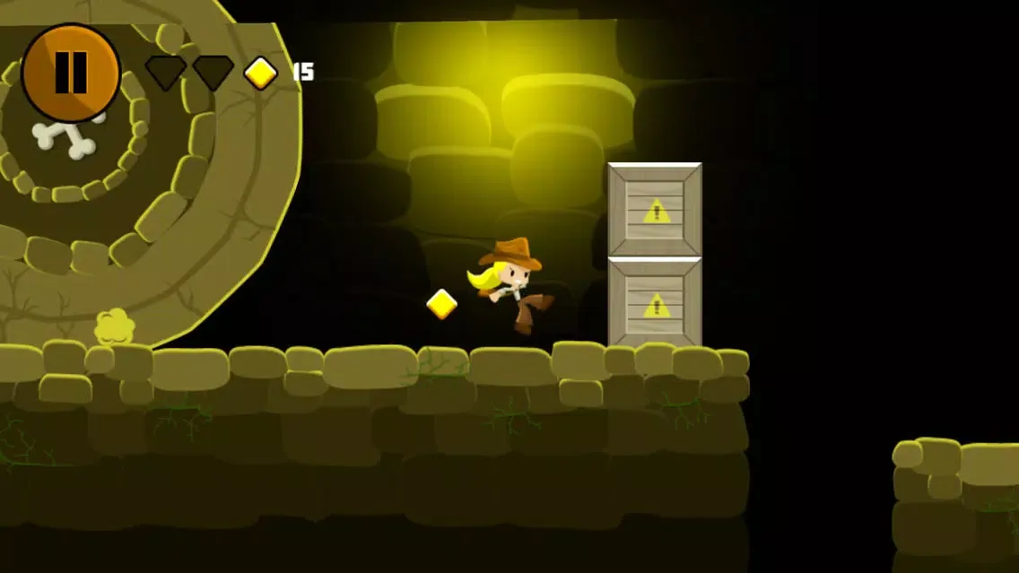 Cowboy Run Adventure Screenshots