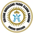 COLEGIO DIOCESANO APP COLEGIO DIOCESANO APP
