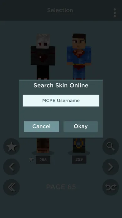 skins for Minecraft AR应用截图