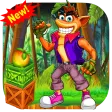 Bandicoot Adventures Super Crash
