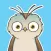 Crazy Owls
