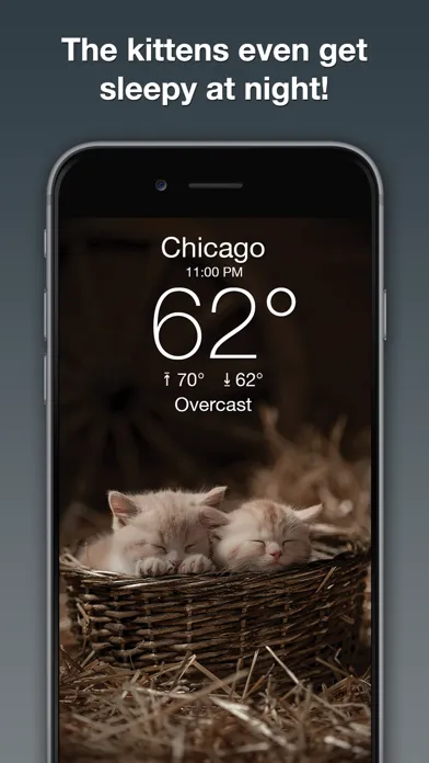 Zrzuty ekranu Weather Kitty: Weather + Radar