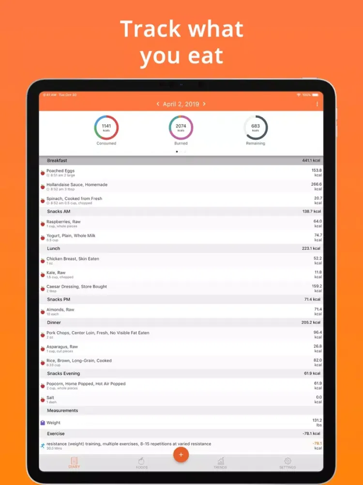 Tangkapan layar Cron-o-Meter Nutrition Tracker iPad 