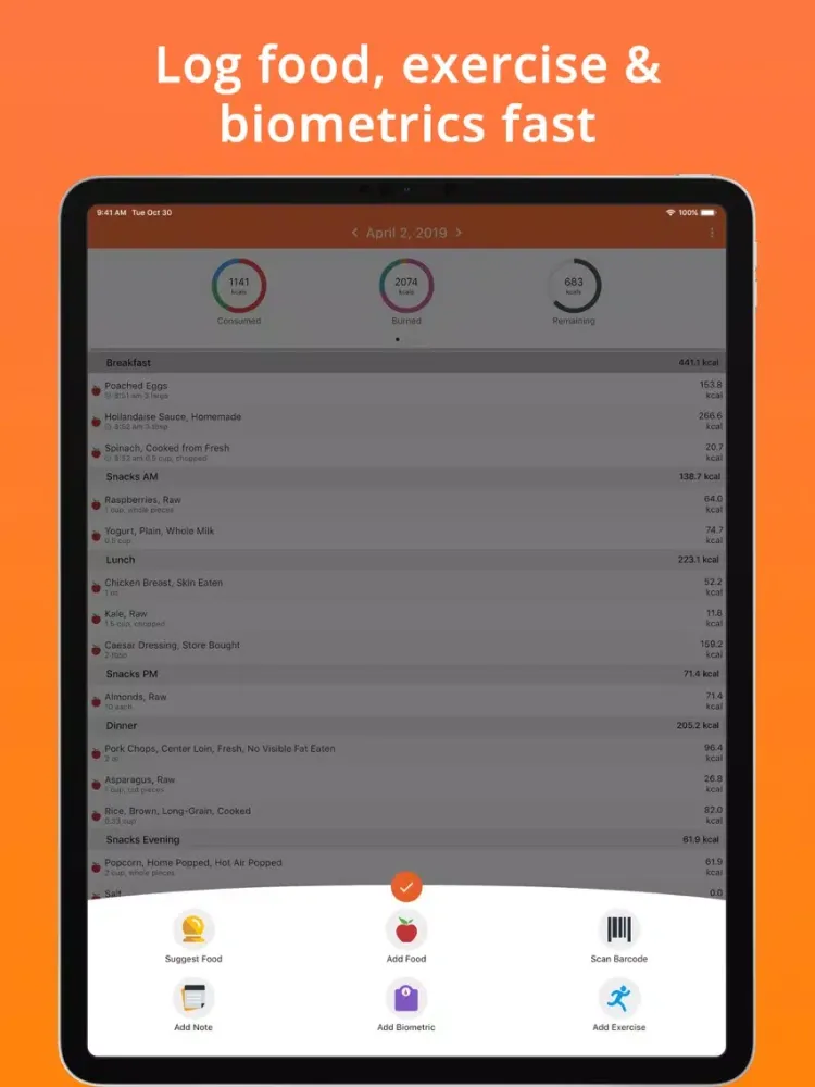 Tangkapan layar Cron-o-Meter Nutrition Tracker iPad 