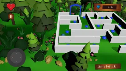 Capturas de tela do Crossing The Maze