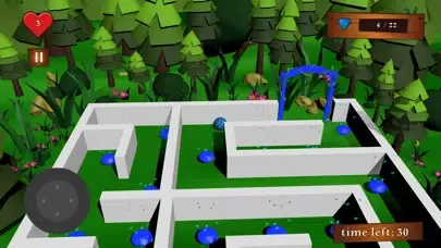 Capturas de tela do Crossing The Maze