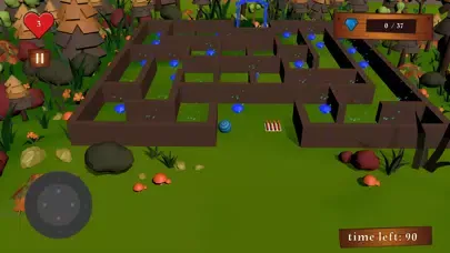 Capturas de tela do Crossing The Maze