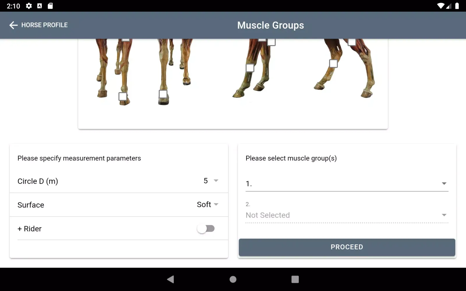 CURO Equine Screenshots
