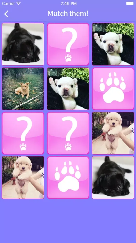 Cute Dogs Memory Match Game Screenshots