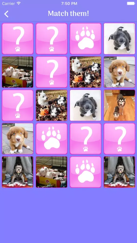 Cute Dogs Memory Match Game Screenshots