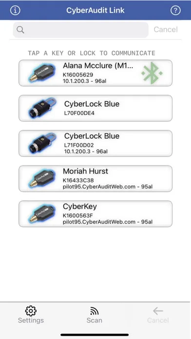 CyberAudit Link স্ক্রিনশট