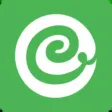 Cyrilla