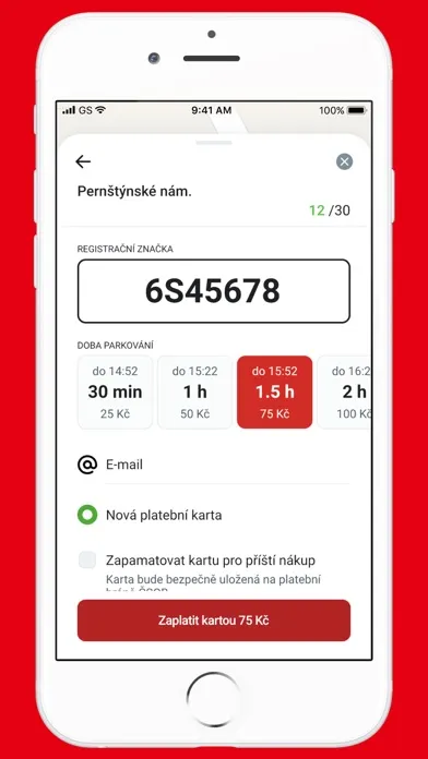 Capturas de pantalla de Pardubice Parking