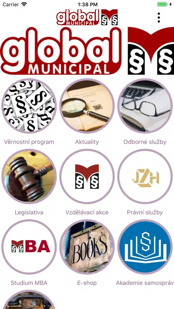 Скриншоты Global Municipal