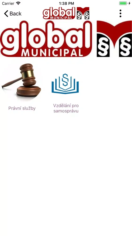 Скриншоты Global Municipal