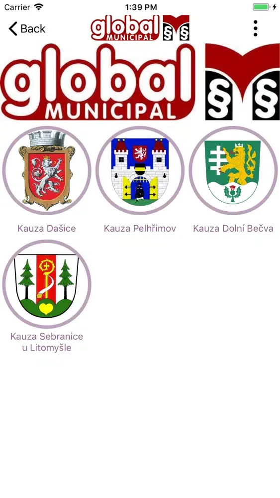 Скриншоты Global Municipal