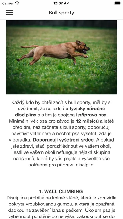 صور Alfa Dog sport