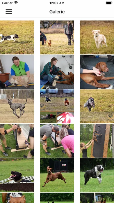 صور Alfa Dog sport