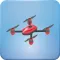 DronView