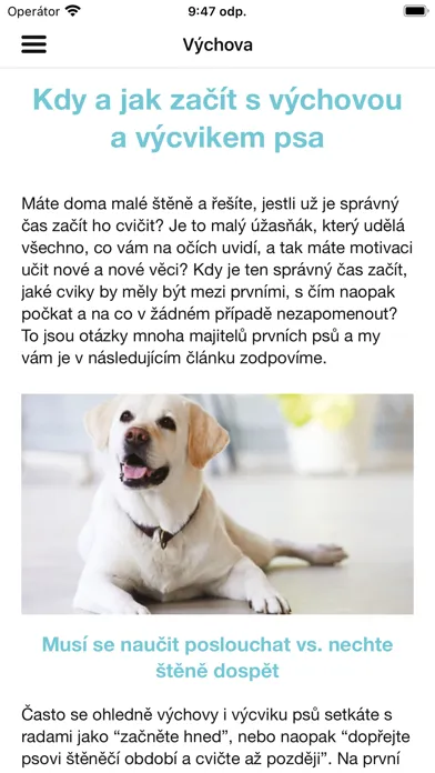 Zrzuty ekranu Happy Dog CZ